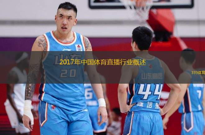 2017年中國體育直播行業(yè)概述