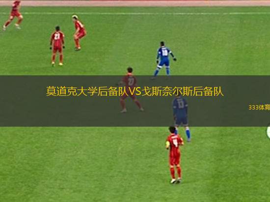莫托勒VS斯拉夫韋爾瓦力