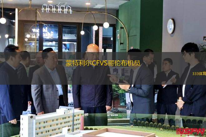 藍(lán)十字VS墨西哥美洲