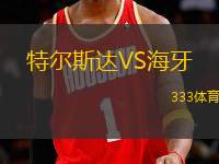 特爾斯達VS海牙