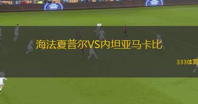 比爾斯特茨瓦克VS恩斯巴特勒