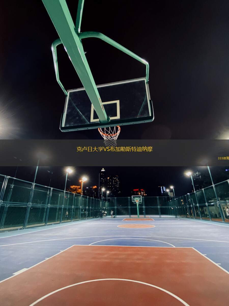 克盧日大學VS布加勒斯特迪納摩