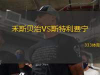 禾斯貝治VS斯特利費(fèi)寧