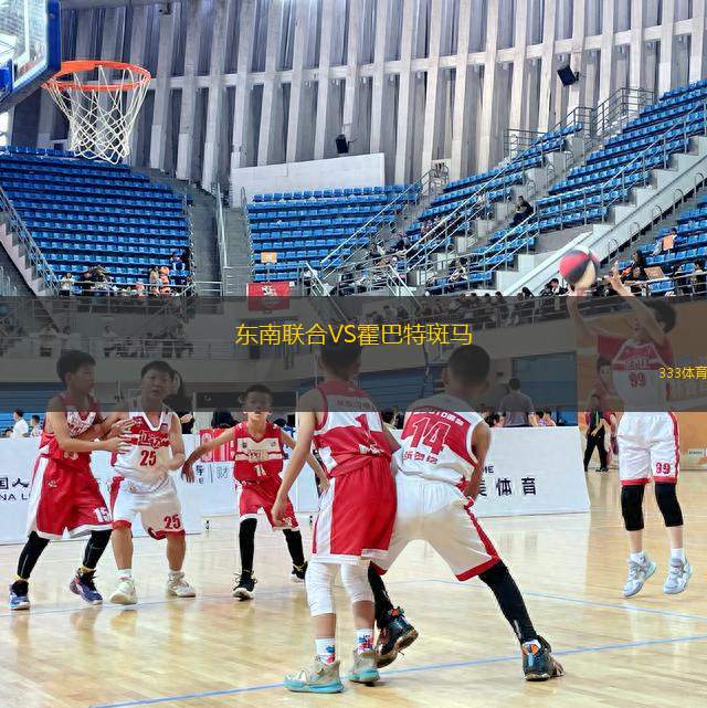 東南聯(lián)合VS霍巴特斑馬