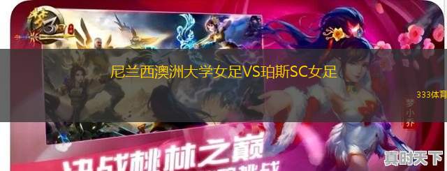 蒂薩法維斯VS迪歐斯捷爾二隊