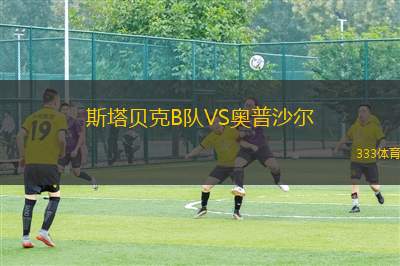 維爾茨VS尼德科恩