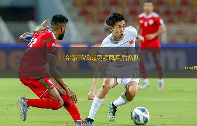 拉夏德芳VS克尼茨
