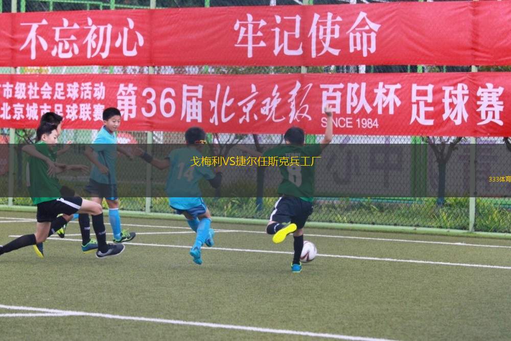 阿東那城VS莫蘭德斑馬