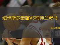 紐卡斯?fàn)柅C鷹VS梅特蘭野馬