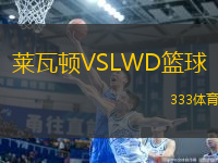 萊瓦頓VSLWD籃球