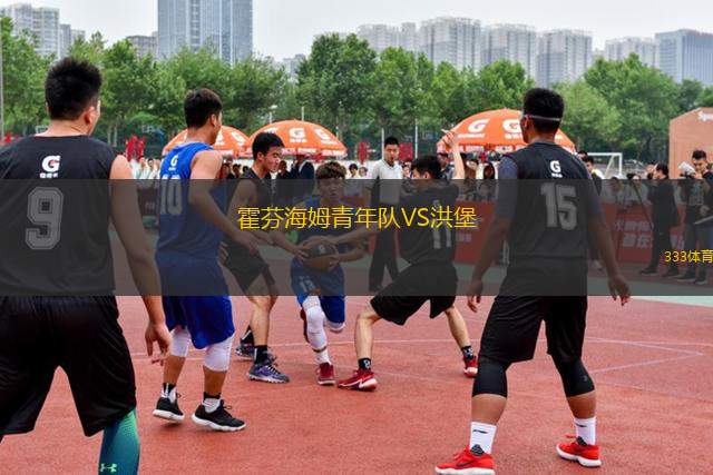 霍芬海姆青年隊VS洪堡