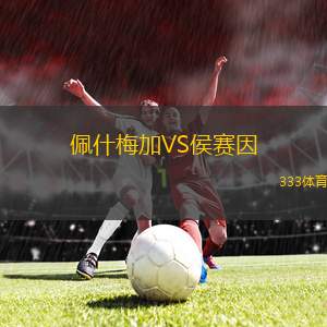 尼斯比VS霍爾貝克