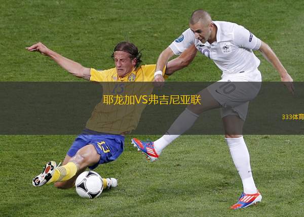 匹林VS延特拉