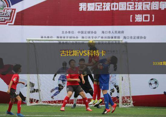 古比斯VS科特卡