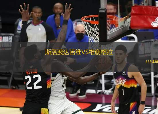 斯洛波達諾維VS維謝格拉