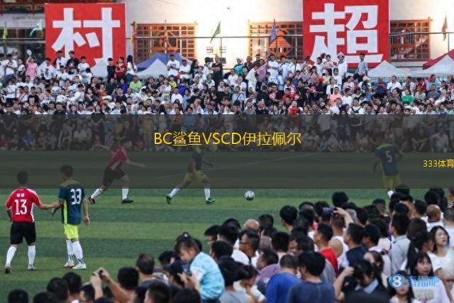 BC鯊魚(yú)VSCD伊拉佩爾