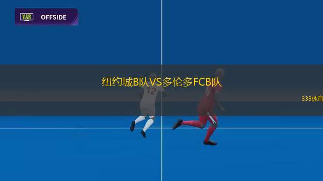 普尤VS瓦亞科斯基