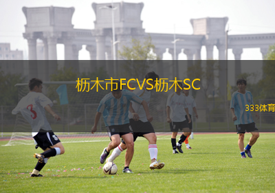 米內(nèi)羅競技VS馬林加