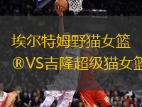 埃爾特姆野貓女籃VS吉隆超級貓女籃