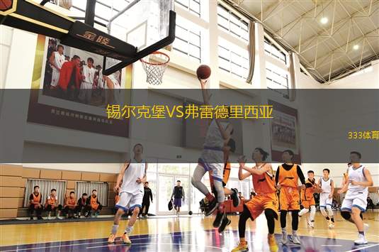 埃及電信VSEl達克爾野
