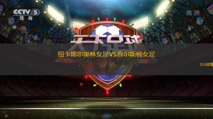 維京古VSIA阿克拉內(nèi)斯