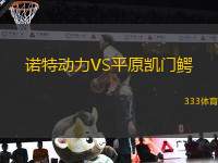 諾特動力VS平原凱門鱷