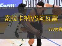 索拉卡納VS阿瓦雷