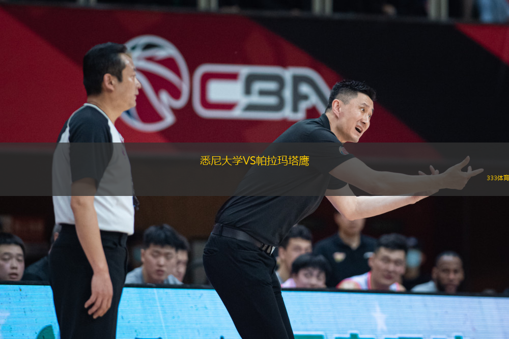 悉尼大學(xué)VS帕拉瑪塔鷹