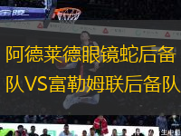 阿德萊德眼鏡蛇后備隊VS富勒姆聯(lián)后備隊