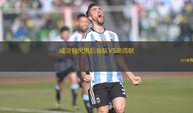 威靈頓鳳凰后備隊(duì)VS島灣聯(lián)
